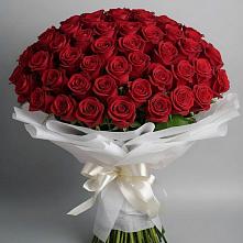 Букет 101 Красная роза Блэк Мэджик в Данково