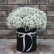 Цветочная композиция из Гипсофила в шляпной коробке в Данково