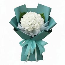 Букет цветов из:  Гортензия в Данково